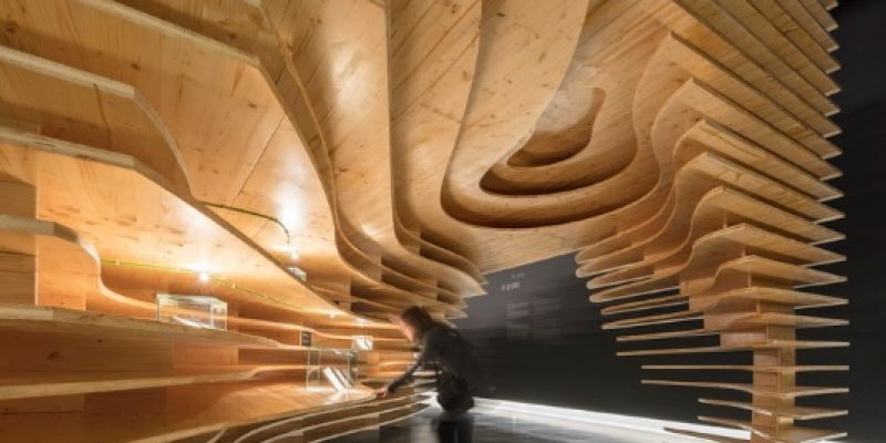 معماری و طراحی داخلی موزه مگالیتیک Megalithic / شرکت معماری CVDB arquitectos + Tiago Filipe Santos