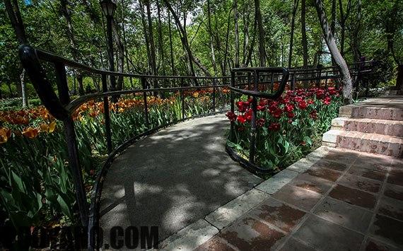 سایت پویانو-بوستان باغ ایرانی
