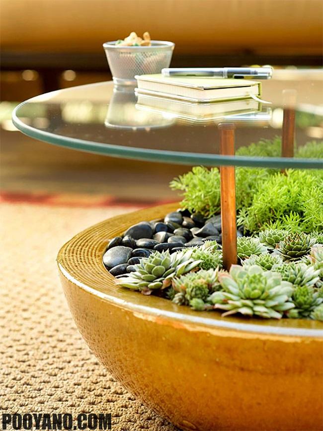 ترکیب مبلمان منزل با گیاهان