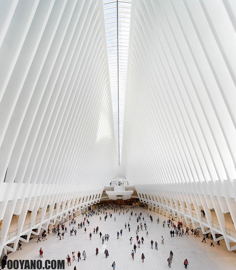 معماری ساختمان Calatrava's Oculus در مرکز تجارت جهانی