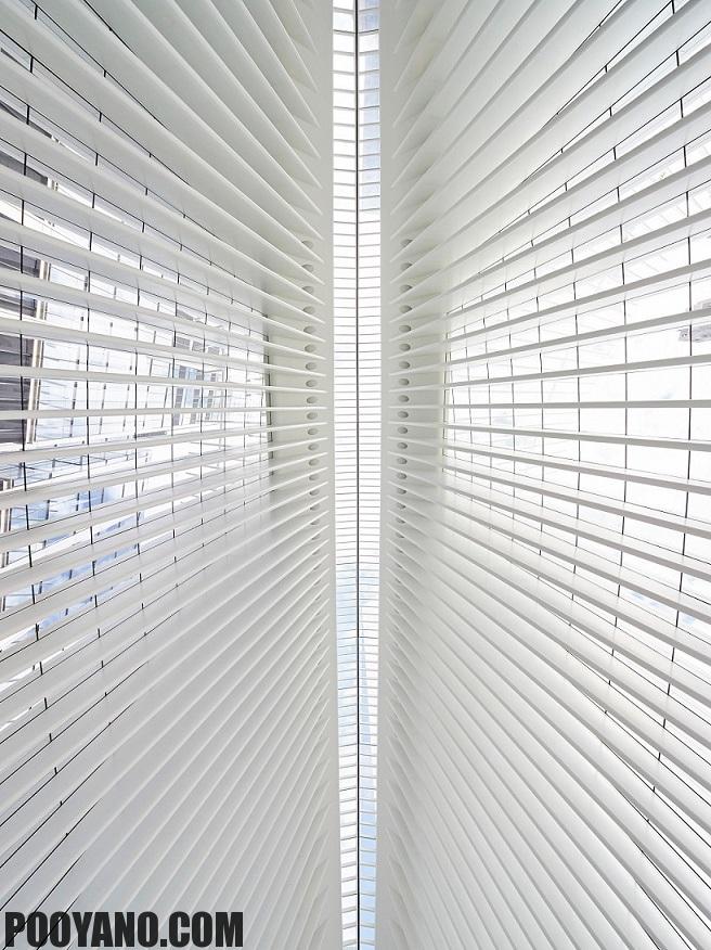 معماری ساختمان Calatrava's Oculus در مرکز تجارت جهانی