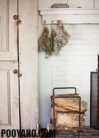 سایت پویانو-گیاهان خشک شده در دکوراسیون منزل
