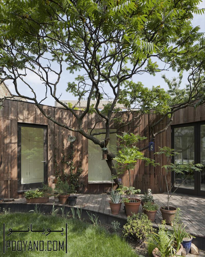 معماری و طراحی داخلی خانه درختی