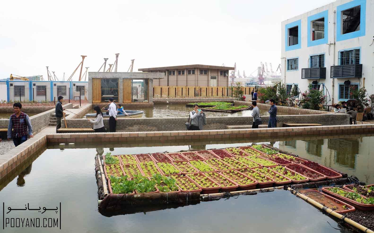 ایده معماری زمین های کشاورزی شناور