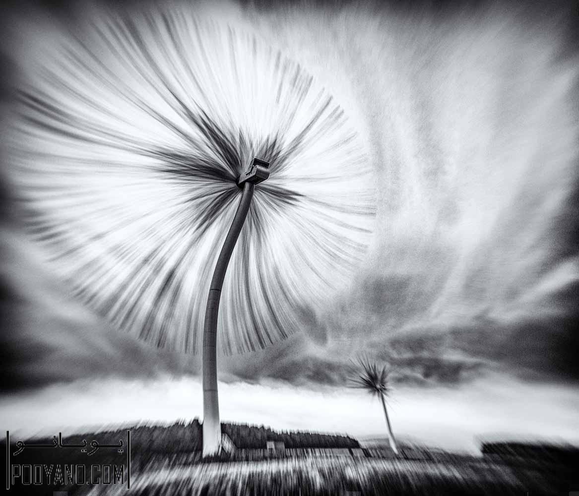 5_the_turbo_dandelion_wind_farm_by_derek_snee