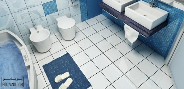 1 حفظ ایمنی حمام و سرویس بهداشتی
