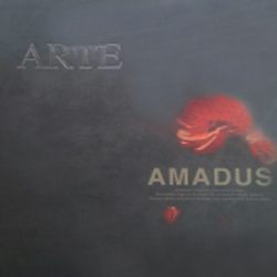 کاغذ دیواری آمادوس AMADUS