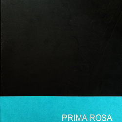کاغذ دیورای پریما رزا PRIMA ROSA