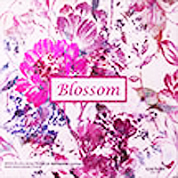 کاغذ دیواری بلوسوم BLOSSOM