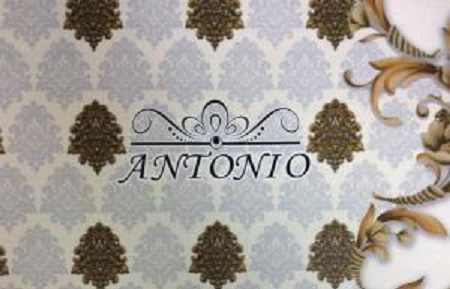 کاغذ دیواری آنتونیو ANTONIO