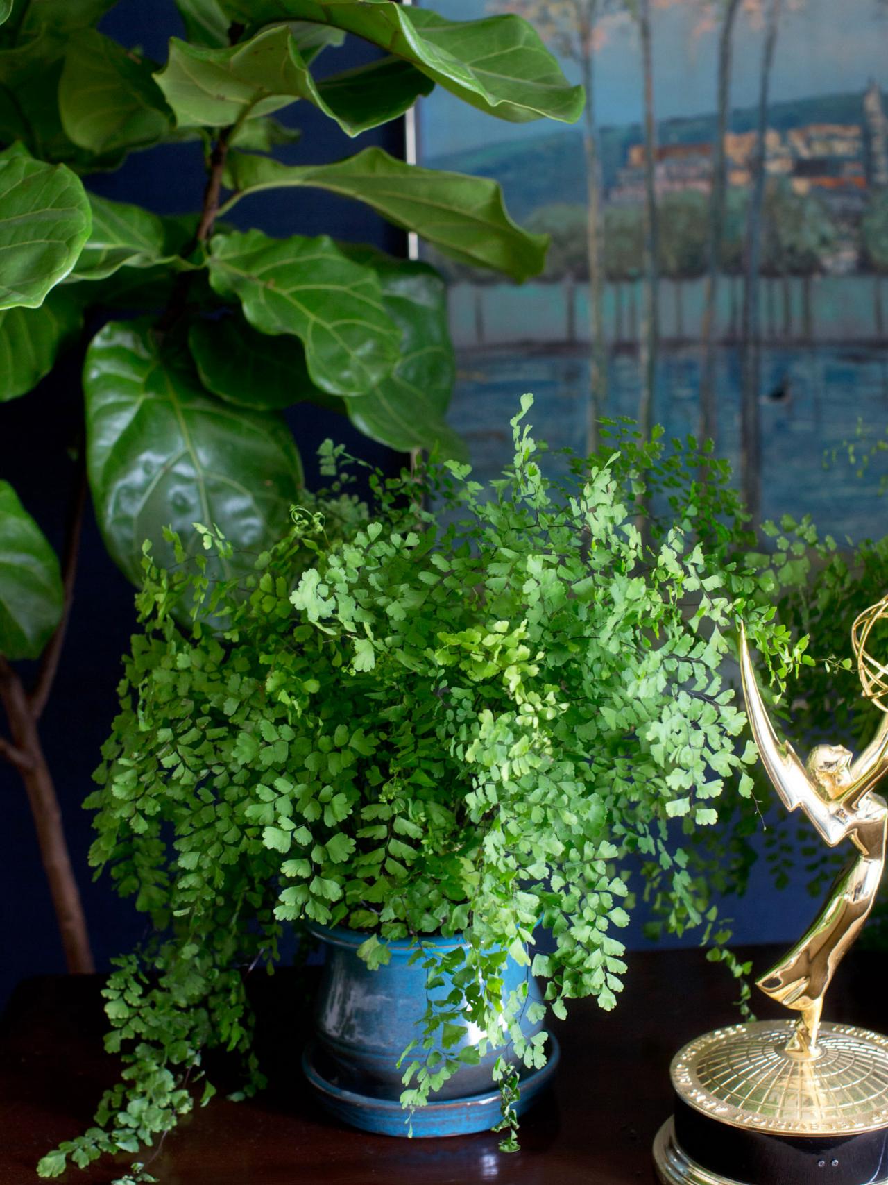 گیاهان طبیعی از گیاهان مصنوعی برای تزئین منزل
