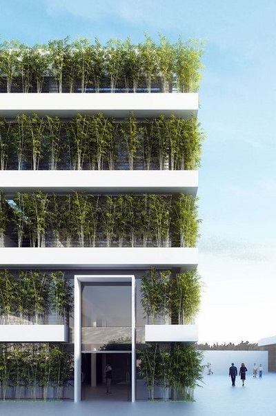 اجرای فضای سبز در نمای ساختمان