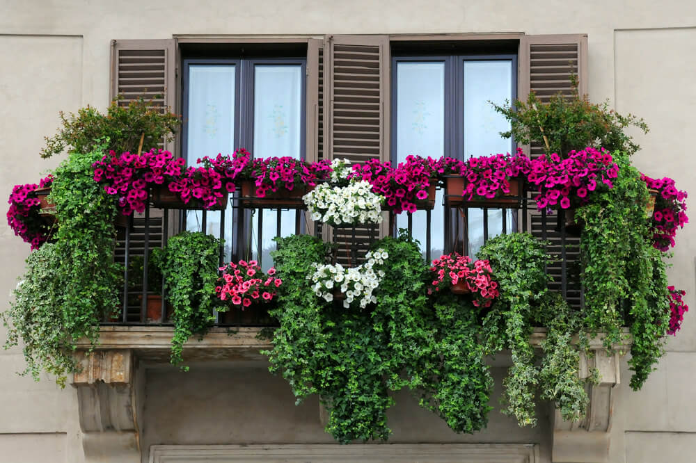 پوشش های پنجره با گیاهان