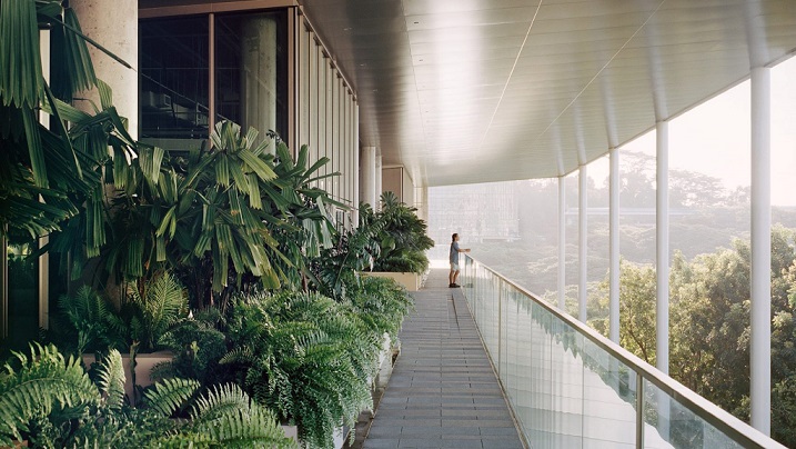طراحی ساختمان و محیط دانشگاه ملی سنگاپور