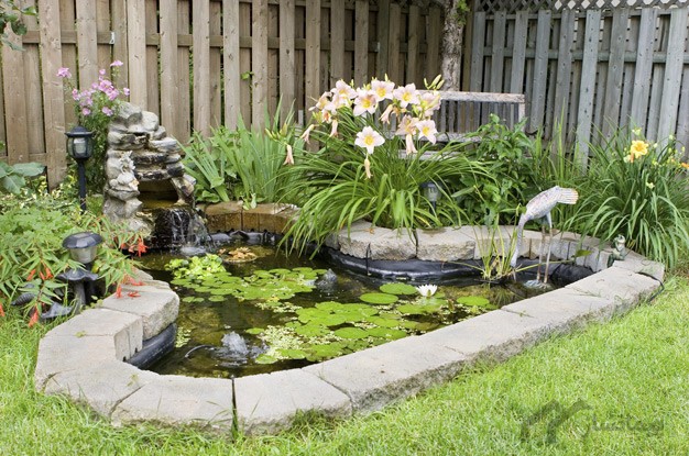 طراحی حوض برای دکوراسیون داخلی و فضای حیاط